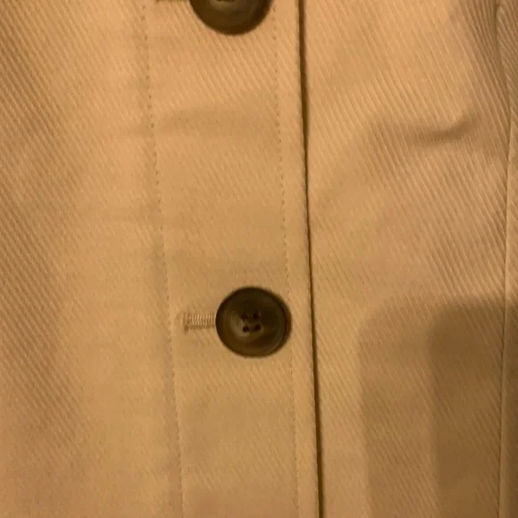 Ann Taylor Elegant Beige Pencil Skirt (SZ 8) - Picture 2 of 7